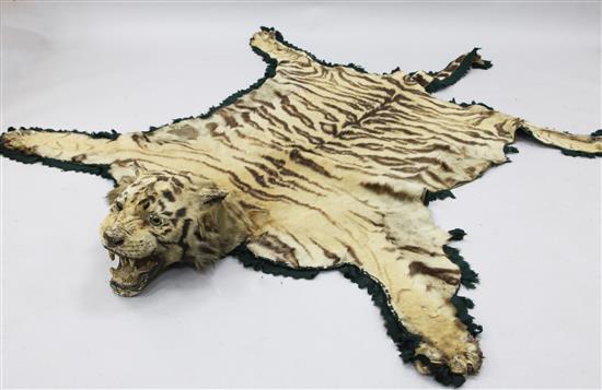 A tiger skin rug